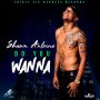 SHAWN ANTOINE - DO YOU WANNA - SINGLE #ITUNES 8/24/2018 @ZJICE