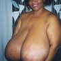 Norma Stitz