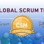 Certified Scrum master | Scrum Alliance | Aleph Technologies |