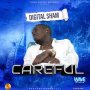 DIGITAL SHAM - CAREFUL - SINGLE #ITUNES 5/24/19