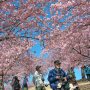 【いせさき市民のもり公園】時間が経つにつれ増えてくるお客さん 今週末はかなりの人出になるんじゃないかな