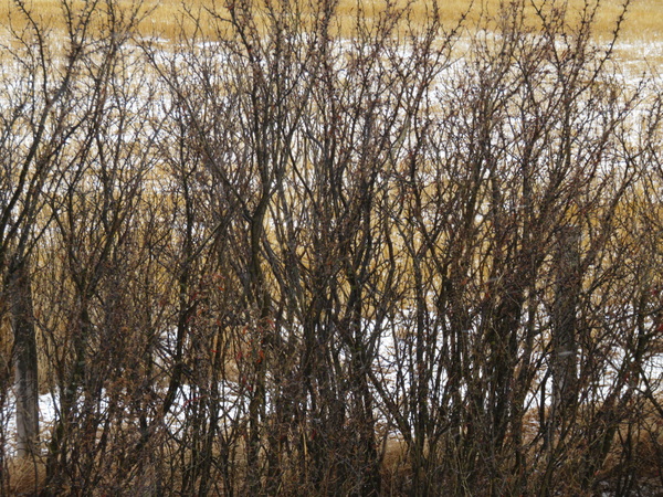 2020 06 26 from the #motorcycle #Jeep #adventure #travel #photooftheday