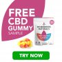   No Borders Naturals Free CBD Gummy Sample