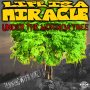 MIKEY J - JAMMING WITH MIKEY VOL.5 LIFE IS A MIRACLE - UNDER THE MORINGA TREE  @Rvssian 