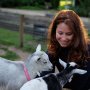 Ooo jongens, wat zijn we aan het genieten hier! Gisteren een uur met de geitjes geknuffeld! Een wandeling gemaakt door het bos, in de sauna geweest, in de hottub bij zonsondergang en heerlijk geslapen in een pipowagen voorzien van alle gemakken die je kan wensen. Bedankt @buitengoeddegaard voor het begin van dit heerlijke weekend :) #weekend #weekendjeweg #pipowagen #geit #geitjes #chilling #gezelligheid #limburg #buitengoeddegaard #knuffelen #ontspanning