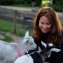 Ooo jongens, wat zijn we aan het genieten hier! Gisteren een uur met de geitjes geknuffeld! Een wandeling gemaakt door het bos, in de sauna geweest, in de hottub bij zonsondergang en heerlijk geslapen in een pipowagen voorzien van alle gemakken die je kan wensen. Bedankt @buitengoeddegaard voor het begin van dit heerlijke weekend :) #weekend #weekendjeweg #pipowagen #geit #geitjes #chilling #gezelligheid #limburg #buitengoeddegaard #knuffelen #ontspanning