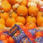 Checking out the produce.
.
.
#FMSPAD #fms_orange @fatmumslim @target #photoadaychallenge #photoaday