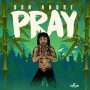 DON ANDRE - PRAY - SINGLE #ITUNES 7/20/18 