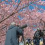 【いせさき市民のもり公園】ここはメジロ等の鳥さんがたくさんやってくるのでバズーカ装備の鳥屋(カメラマン)さんも集結ｗ まあこれくらいのレンズが無いと小鳥を狙うのは難しいｗｗｗ
