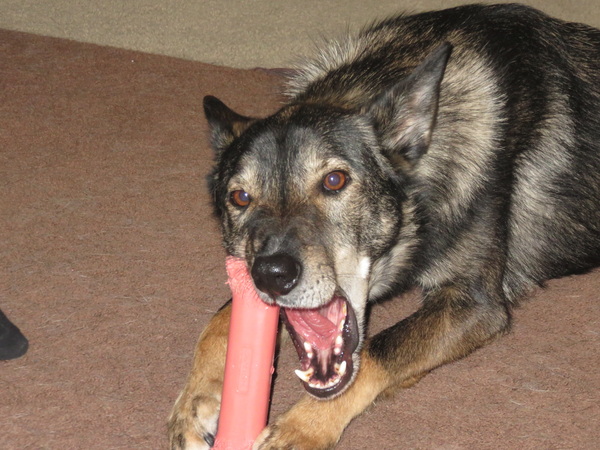 2020 06 20 from the #motorcycle #Jeep #adventure #travel #photooftheday 