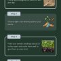 Steps to Grow Tomatoes in Your Home Garden | gardentoolguide.com