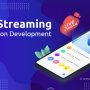 Live Streaming Application Development