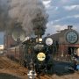 【真岡鐵道】この日はお天気にも恵まれました～ 今回は真岡駅とキューロク館、D51のSL型の屋根も入れて4輌のSL(っぽいものを)をフレームに入れてみたｗ このタイミングでキューロクを前に出してくれればｗ