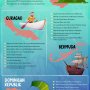 46 Best Bucket List Ideas For The Caribbean Islands