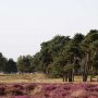 Weekendje weg Veluwe huisje