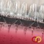 Feel The Love of Impeccable Red Wines!