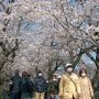 【権現堂公園の桜2020】この日は強い風も収まって桜見物にも最適なお天気となってくれました こういう天気の日は仕事なんてしてるどころじゃないｗ カメラを持って外に出ないとｗ