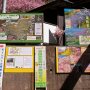 【まつだ桜まつり】西平畑公園から勾配の急な歩道を歩き続けて20分くらいでしょうか、ようやくあぐりパーク嵯峨山苑に到着 下で協力金200円払ったのにここに入るのにまた300円取られるという...