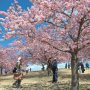 【いせさき市民のもり公園】平日ながらお客さんがいっぱい♪ まあ自分も平日に撮影に来てるので人の事は言えないけどｗ