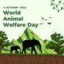 Buzdrinks Honors The Global Initiative For The Welfare Of Animals!