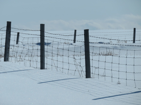 2020 06 16 from the #motorcycle #Jeep #adventure #travel #photooftheday