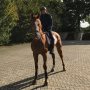 Hier mijn nieuwe aanwinst; Eclips!! Super blij mee, al wordt hij gelijk ingepikt door m'n vader #comeback?? Fantastisch gevoel dat mijn eigenaren mij blijven ondersteunen met talentvolle paarden #greatowners #greathorse