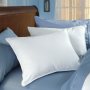 RoyaLoft Pillow by Restful Nights & Pacific Coast