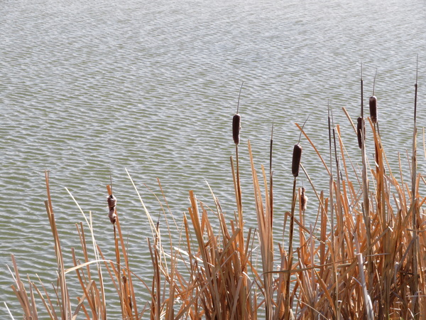 2020 07 02 from the #motorcycle #Jeep #adventure #travel #photooftheday