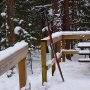 #xcskiing #nordicskiing #yurtcamping #silentlakeprovincialpark #january