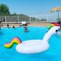 terror in the pool