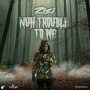 ZIZI - NUH TROUBLE TO WE - SINGLE #ITUNES 2/7/2020 @troublemekkaJA