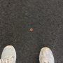 Every 5 cents count.... #luckyday