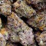 Weed Delivery Washington DC