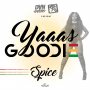 SPICE - YAAAS GOODIE #ITUNES 5/11/18 #PREORDER 4/24/18 @spiceofficial @sparkiebaby @mister_evens