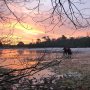 #morningrise #sun #ice #iceskating #sketsen #schaatsen #natuurijs #netherlands #hetkondeheledag #konoveral #leersum