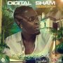 DIGITAL SHAM - CELEBRATION - SINGLE #ITUNES 7/27/18 @digitalsham @Ajusdivybzmusic