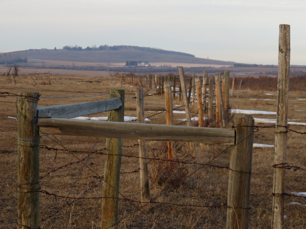 2020 06 23 from the #motorcycle #Jeep #adventure #travel #photooftheday