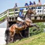 Zo. knap gereden; Mylène wordt even Nederlandskampioen Young Riders!! Gefeliciteerd !! #Bavaria00TalentTeam (📸 ESVEO fotografie #dankjewel)