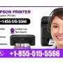 Instant Epson Support Number For Any Troubleshooting Issues