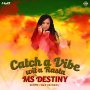 MS DESTINY - CATCH A VIBE WIT A RASTA - #ITUNES #SPOTIFY 5/11/2018 @zjliquid 