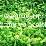 Tip van @perfuel_laska: “Nu we weten dat onderaan de streep het tekort / overschot in calorieën het verschil gaat maken (Energiebalans), is het wellicht ook beter te begrijpen dat niet alle “gezonde” voedingsmiddelen ook altijd even geschikt zijn in een voedingspatroon waarin afvallen de doelstelling is. 
Want net zoals een dun iemand niet perse gezond hoeft te zijn, is een “skinny” voedingskeuze niet altijd gezond. En een gezonde keuze dus niet altijd “skinny”. Behalve als we het over water hebben, maar ook het oh zo gezonde super skinny water is in een overschot toxisch. (maar goed, wat niet, alles waar “te” voor staat) “Gezond” gaat veelal om producten met een ruim en compleet profiel aan macro- en micro-nutriënten. Iets wat gezond is kan dus nog heel goed heel veel calorieën bevatten. En zoals we inmiddels weten is dat calorieën-budget dus leidend. 
Iets wat als “skinny” wordt gelabeld kan een voedingsmiddel zijn dat we kennen in een calorierijke variant, waar we een skinny versie van hebben verzonnen. Maar liever zijn dit voedingsmiddelen met veel voedingswaarde, graag ook een hoog verzadigingsgehalte, maar dus ook laag in calorieën. 
Skinny en gezond zijn niet één. Maar kunnen wel heel goed samen gaan.

Focus op kwaliteit, hele producten, liefst zoveel mogelijk zonder label. Focus niet op het vermijden van calorierijke triggerfoods. Dit frustreert. Focus op het mooie en brede aanbod aan voeding dat er voorhanden is. Dit is skinny & healthy!”