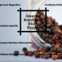 Know the Benefits of Black Pepper - Retail Pharma