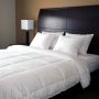 Get Premium Quality Comforters at Wholesale Pricing!