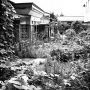 Abandoned gardens in Tomioka, Fukushima. - Selecting photos for my book. Publication date: March 9