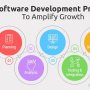 Enterprise Software Development Process