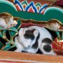 【日光東照宮】眠り猫さんｲﾀ━━(ﾟ∀ﾟ)━━!! 実物は欄間に描かれた小さい猫さんなので見落とす可能性大ｗ