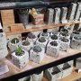 【大谷ダンジョン探索3回目】鉢植えのカバーなんてのも売ってます この他にも大谷石で作られたグッズでいっぱいです