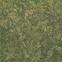 Human hepatocytes