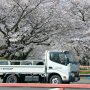 【千歳袋川堤の桜】この橋の上から眺める桜は最高に･:*:･(*´∀｀*)ｷﾚｲｰ･:*:･