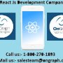 Hire React Native Developer | React Native development company